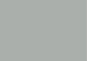 GRIS PERLA 0.450 LT