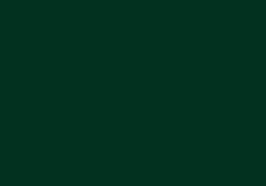ENTONADOR 120 ML 105 VERDE OSCURO