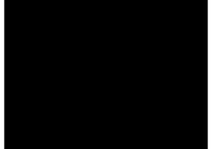 ENTONADOR 030 ML 109 NEGRO