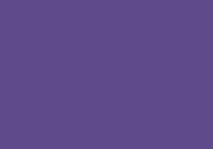 ENTONADOR 120 ML 111 VIOLETA